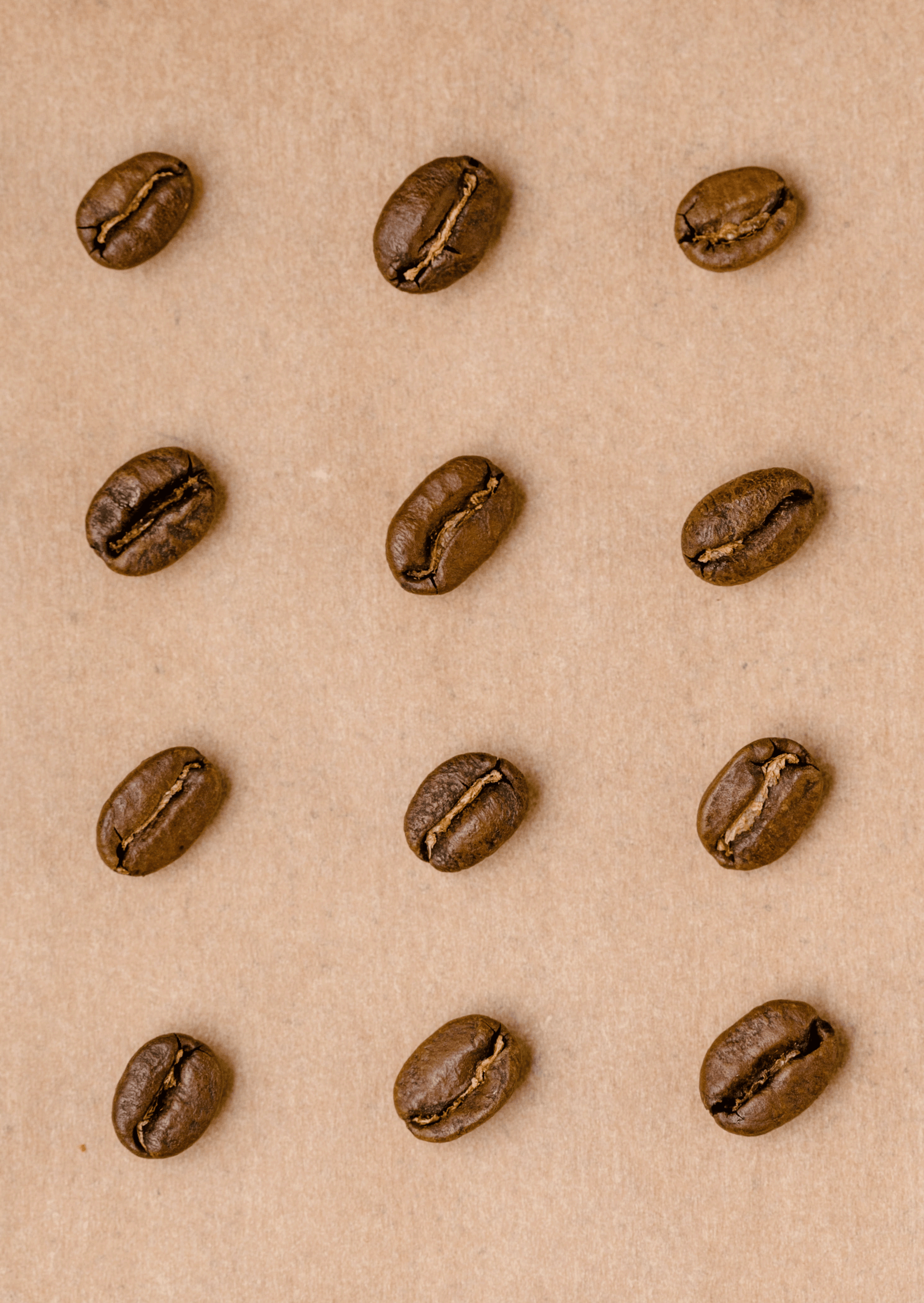 Was ist Specialty Coffee? (kurzversion)