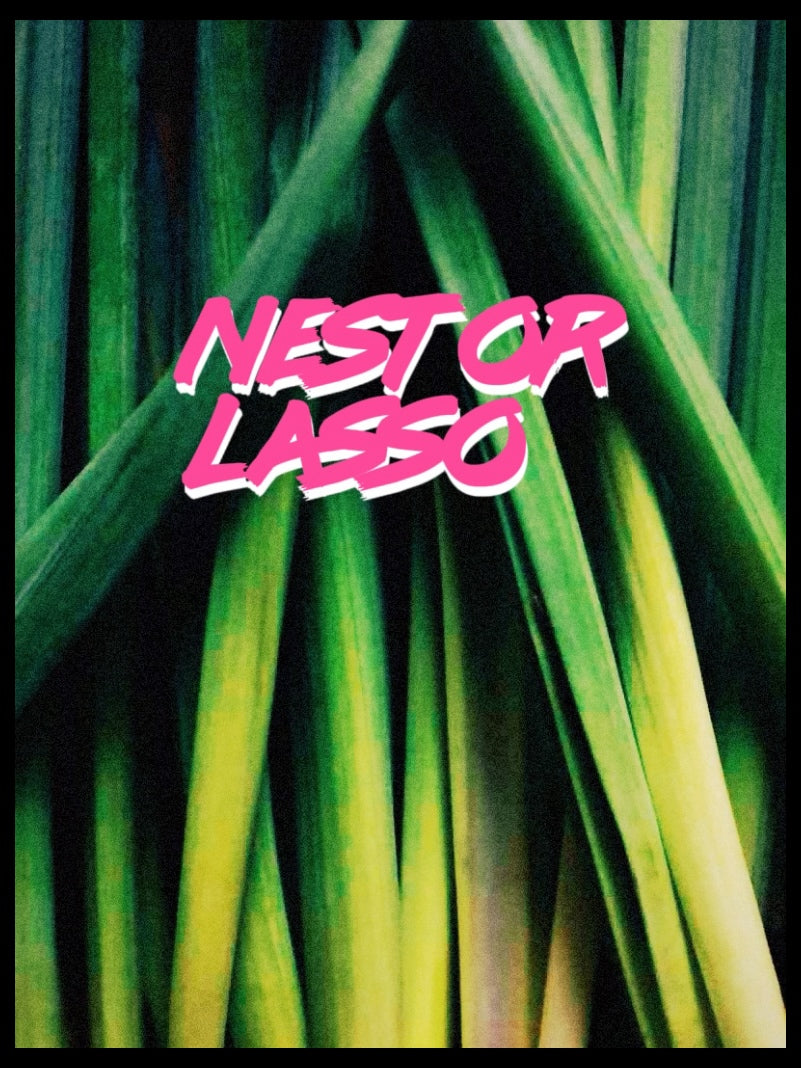 Nestor Lasso | Colombia