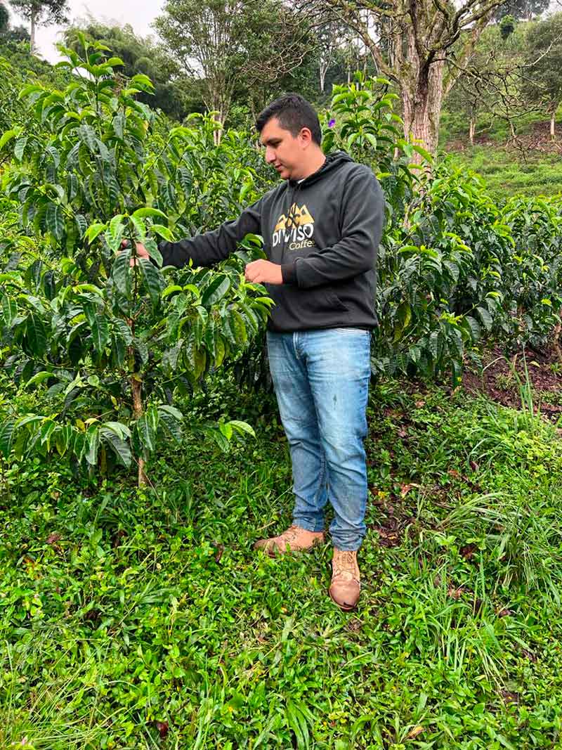 Nestor Lasso | Colombia