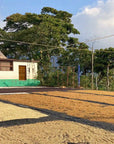 Chelín, Mexico - Obadiah - 150g