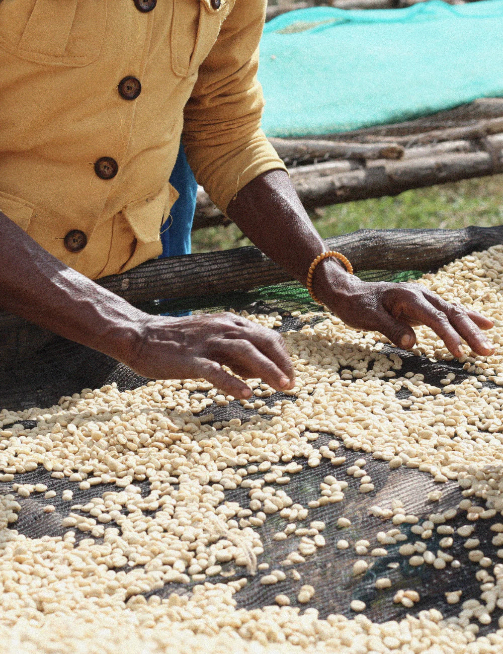 Chelbesa, Ethiopia - Obadiah - 250g