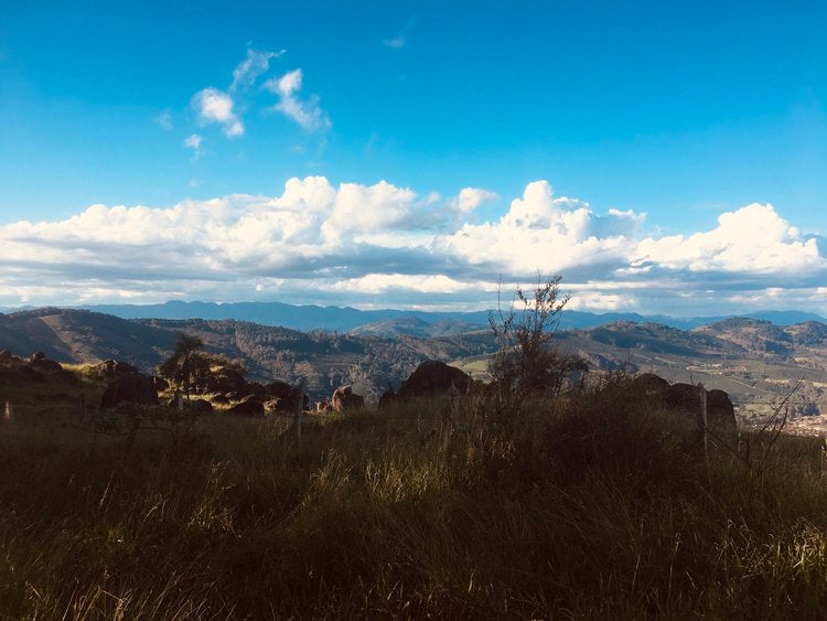 Jorge Barreto | Brazil