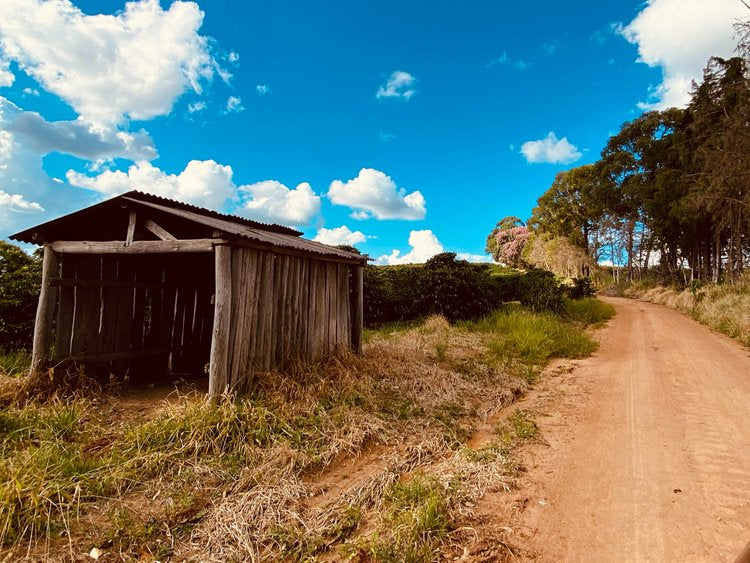 Jorge Barreto | Brazil