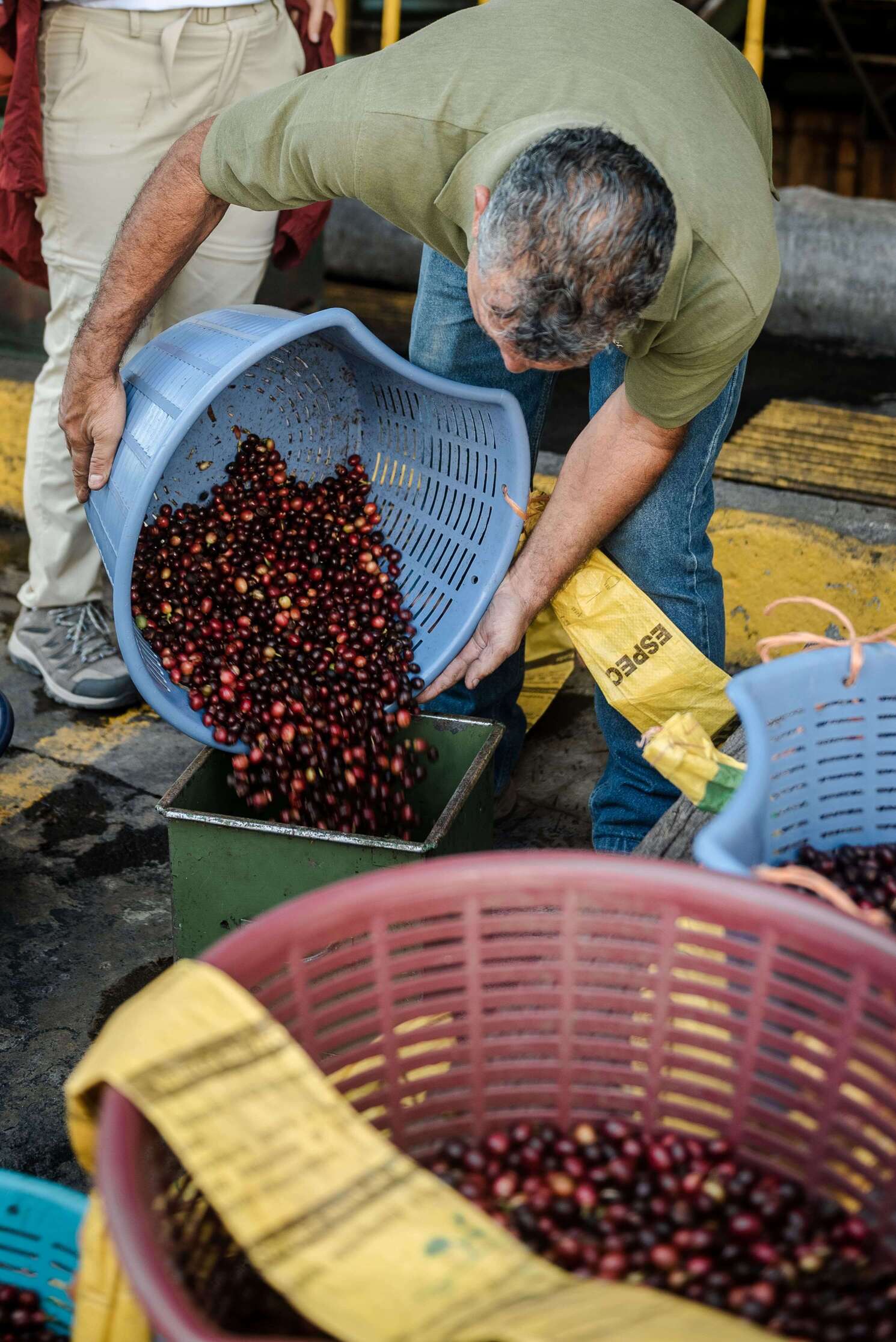 Nomad - Eucalipto  | Costa Rica