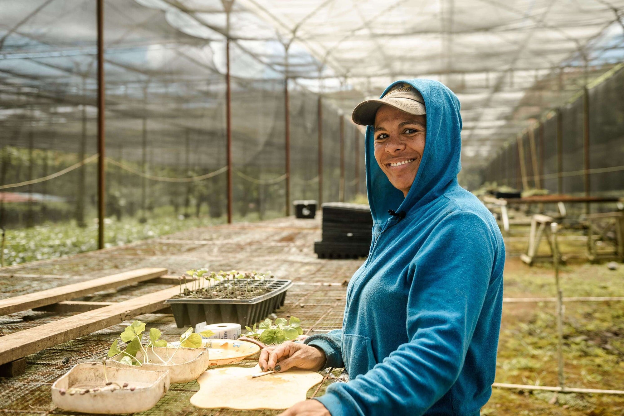 Nomad - Eucalipto  | Costa Rica