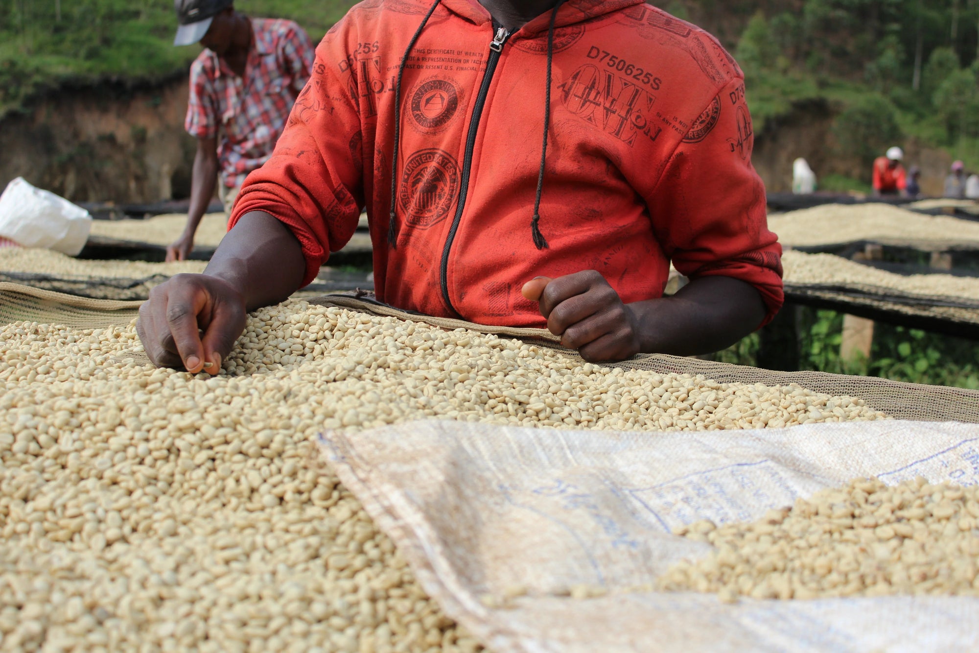 Nomad - Kibingo  | Burundi