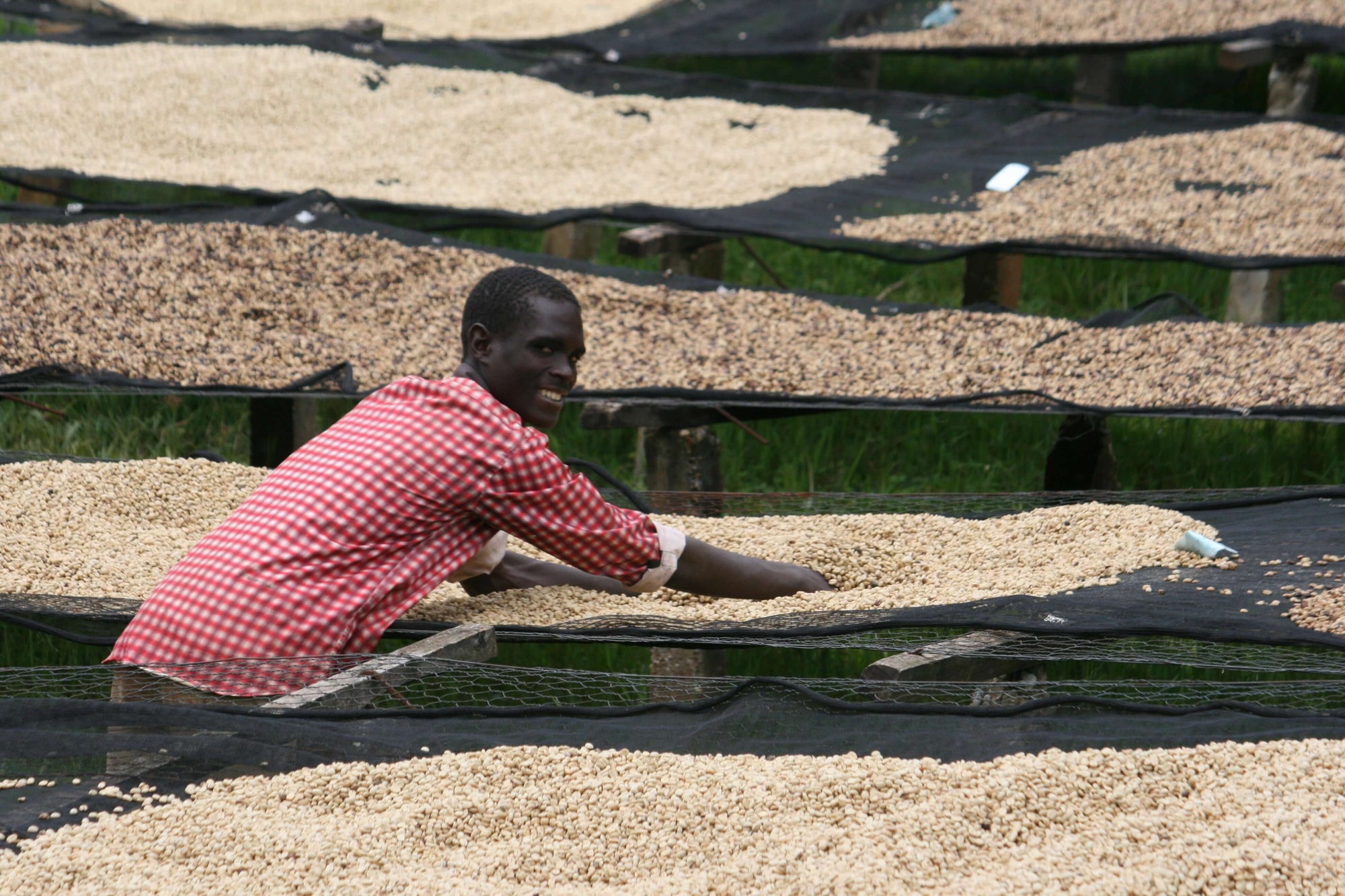 Nomad - Kibingo  | Burundi