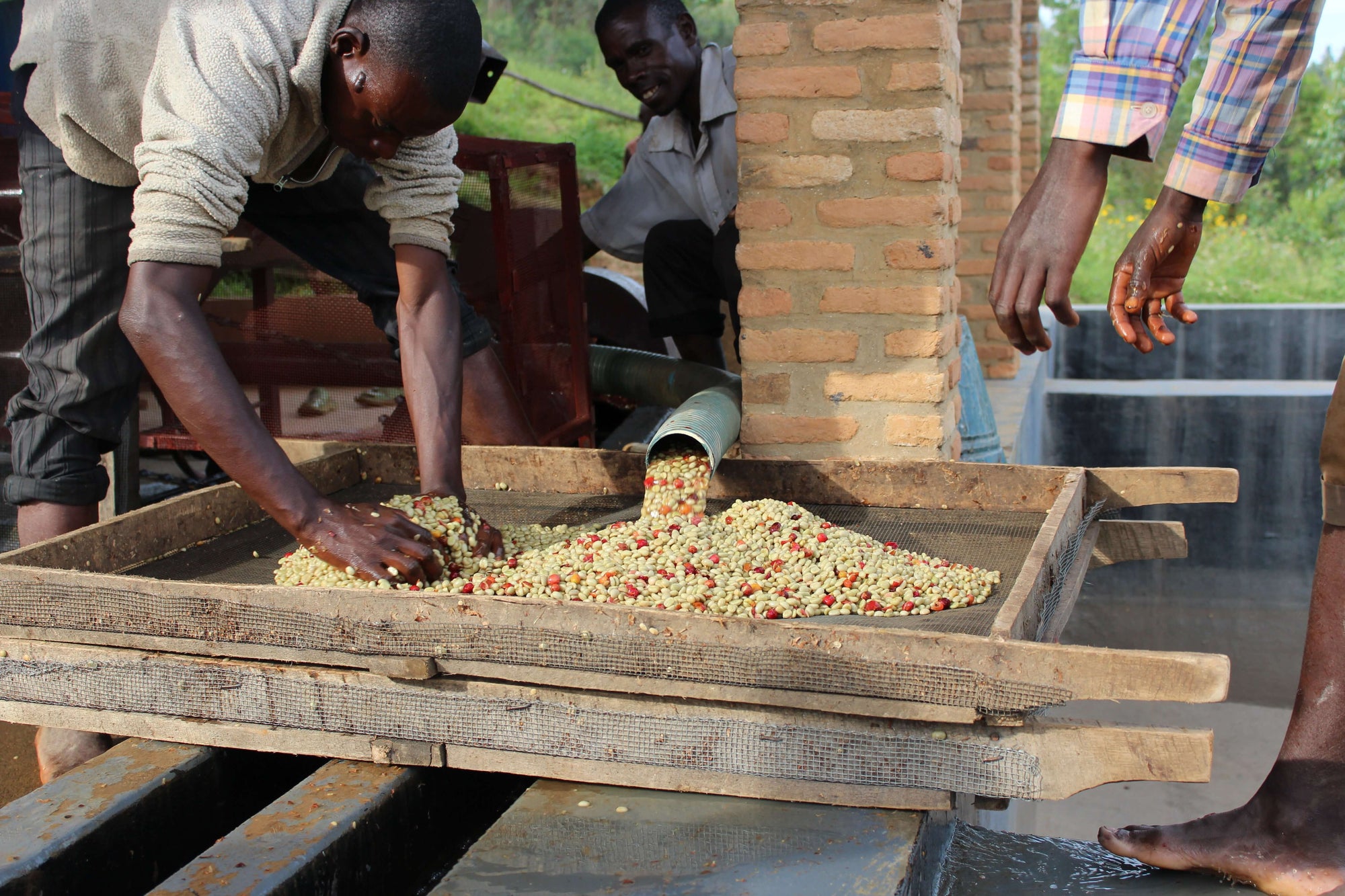 Nomad - Nemba | Burundi