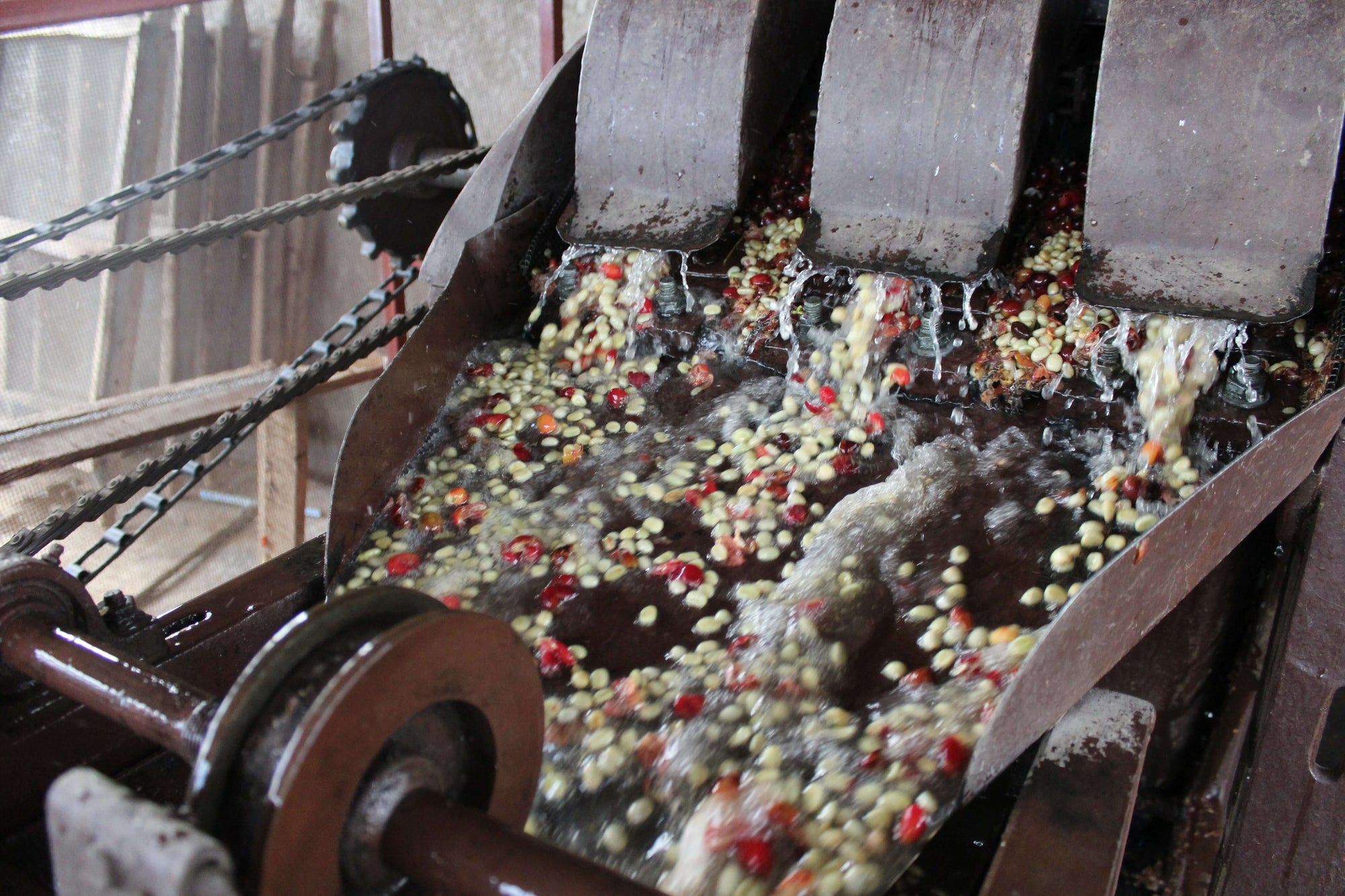 Nomad - Nemba | Burundi