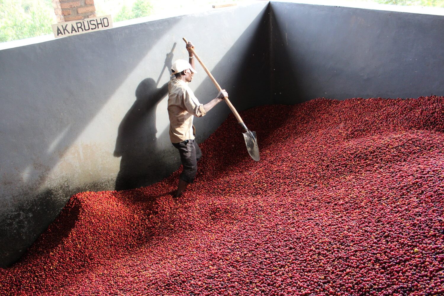 Nomad - Nemba | Burundi