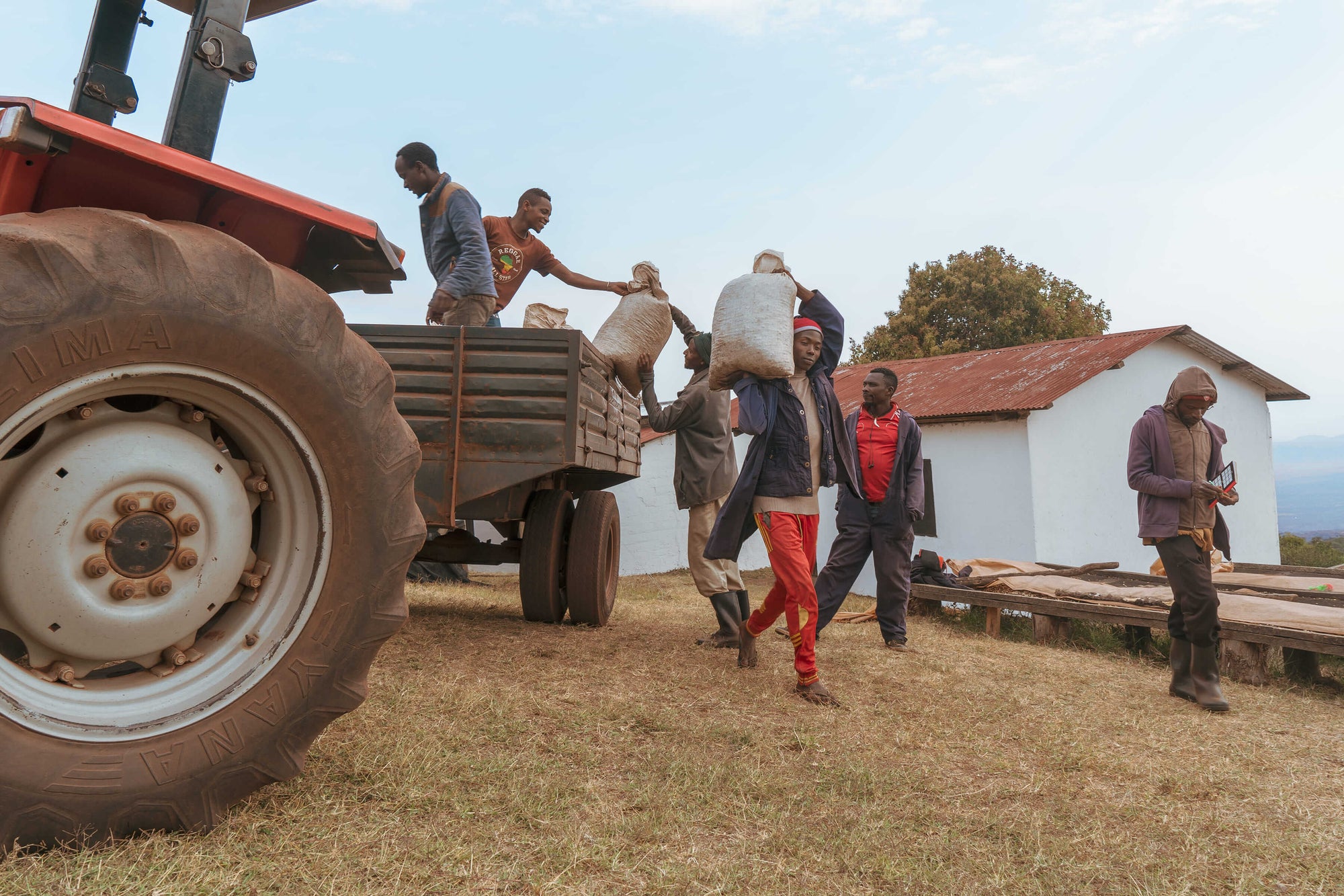 Nomad - Competición Pacamara | Tanzania