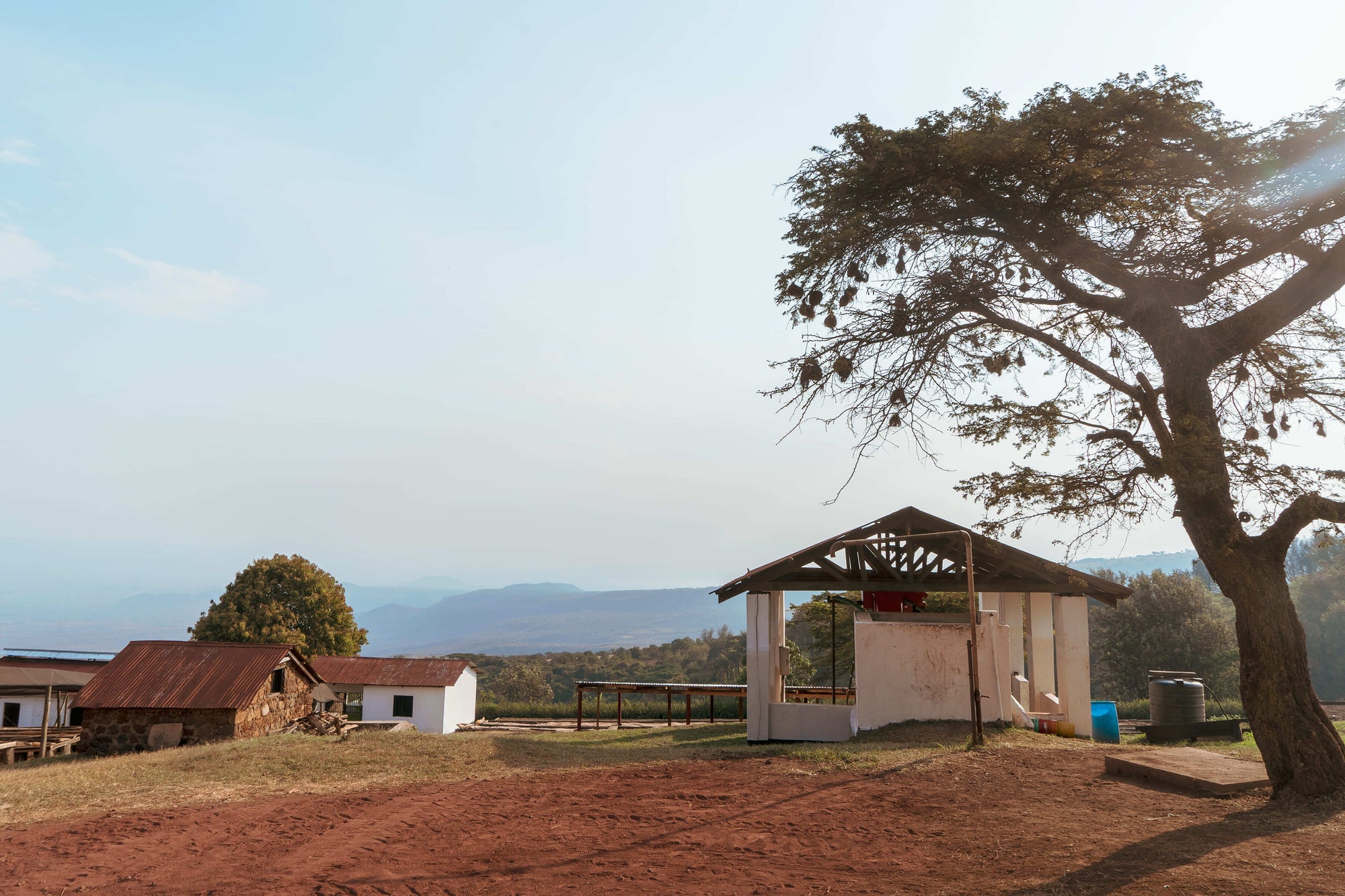 Nomad - Competición Pacamara | Tanzania