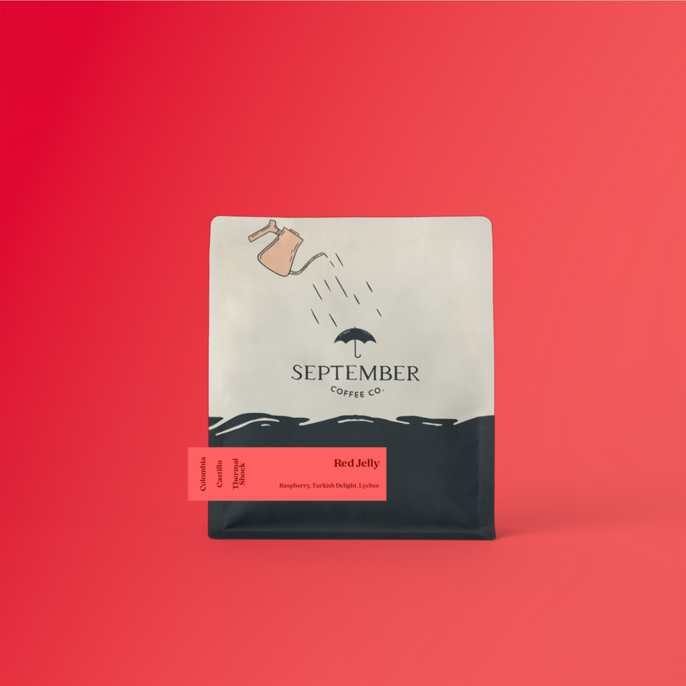 September - Red Jelly, Double Fermentation Thermal Shock Castillo | Colombia