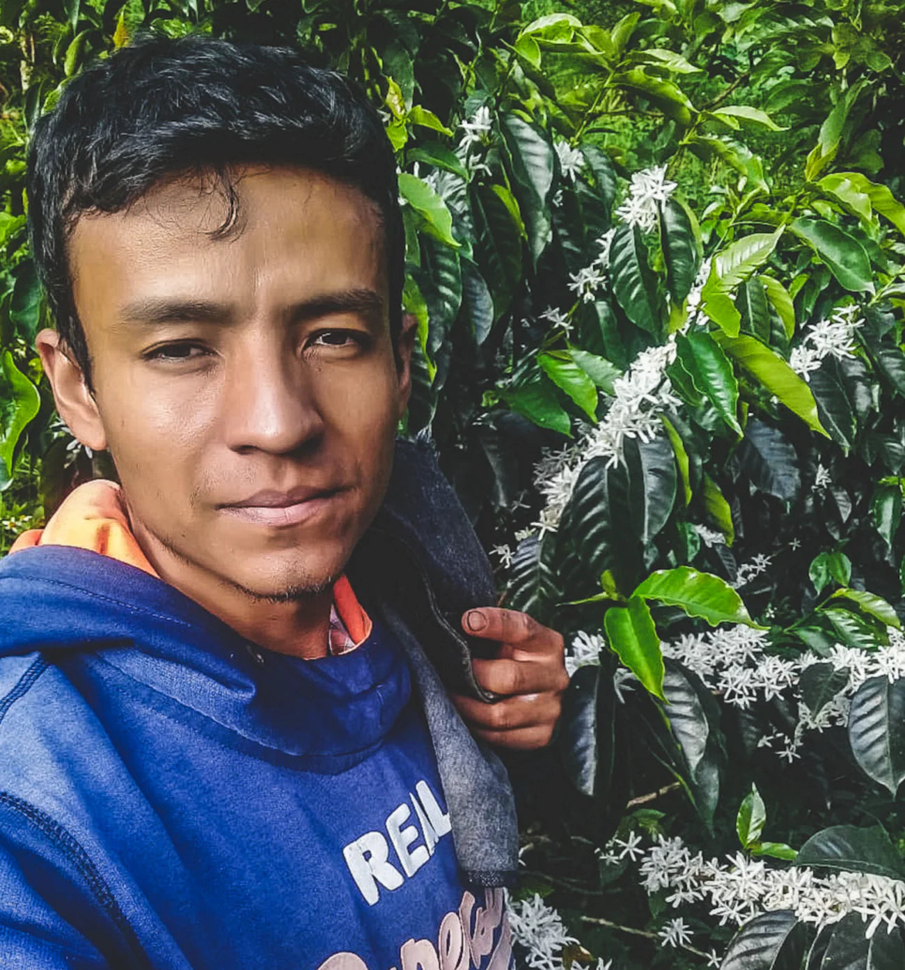 September - Erick Bravo, Washed Pink Bourbon | Colombia