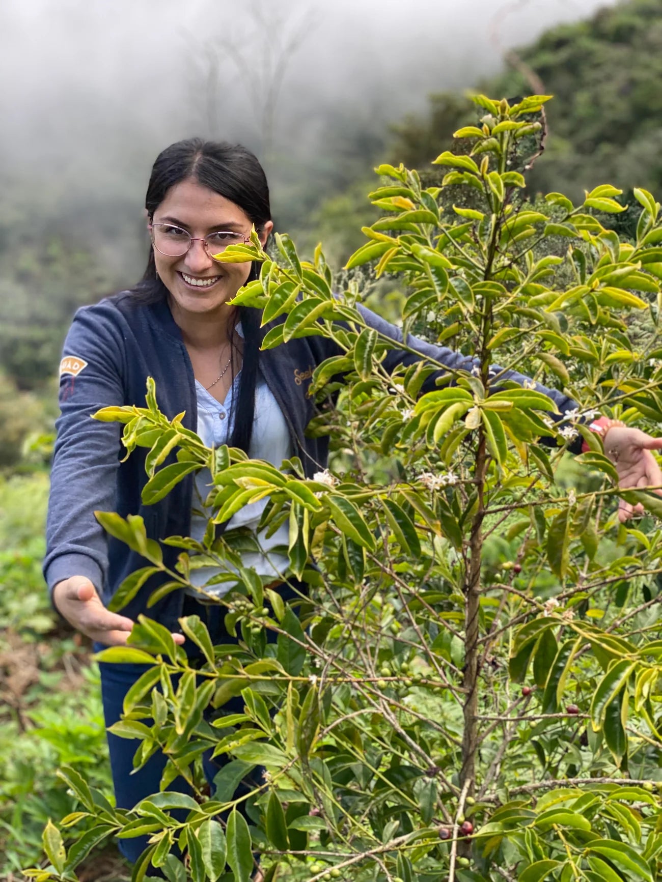 Pink Bourbon - Finca La Fuente | Colombia