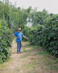 Finca Milan | Colombia - 200g