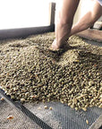 La Luisa | Colombia