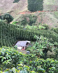 La Luisa | Colombia