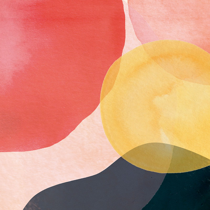 Milky Cake - Colombia