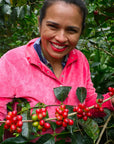 Caballero Gesha - Honduras