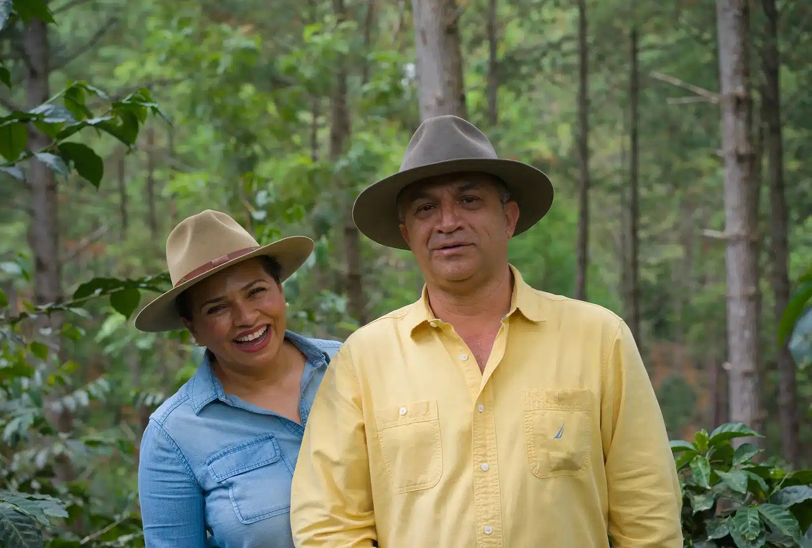 Caballero Gesha - Honduras
