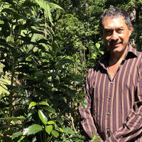 Momoto Panama | Double Shot (Limited edition) 300g