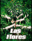 Las Flores | Colombia
