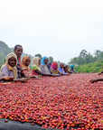 Bomb, Ethiopia - Nomad Coffee Roasters