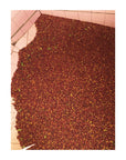 Don Mayo, Costa Rica - Drop Coffee Roasters