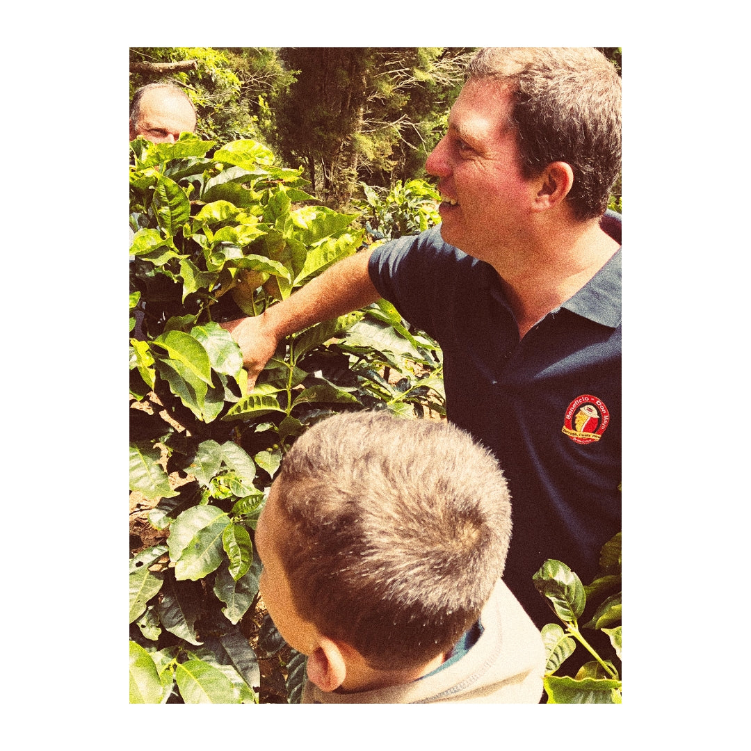 Don Mayo, Costa Rica - Drop Coffee Roasters