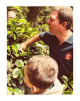 Don Mayo, Costa Rica - Drop Coffee Roasters