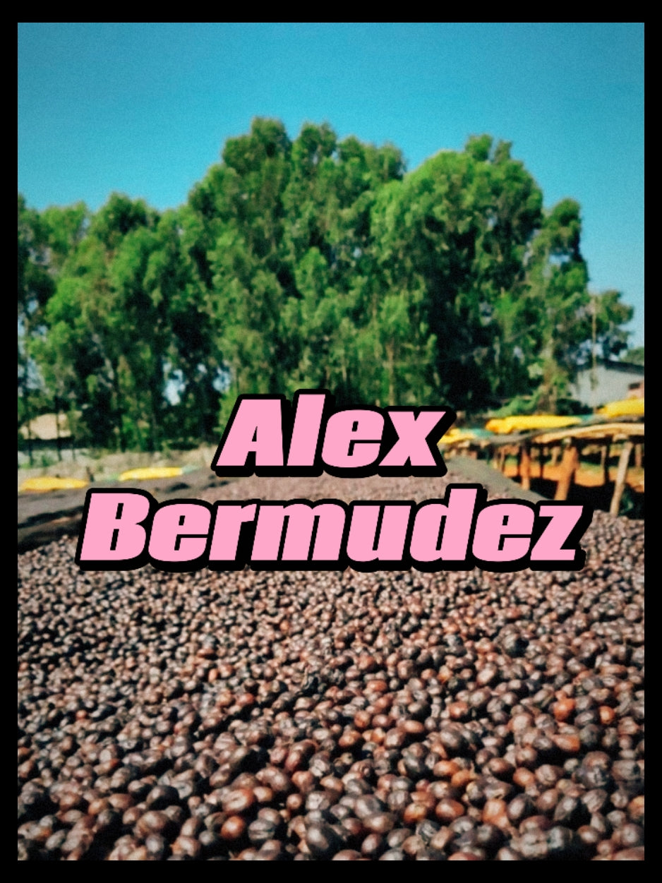 Alex Bermudez (brother of Diego Bermudez) - Colombia