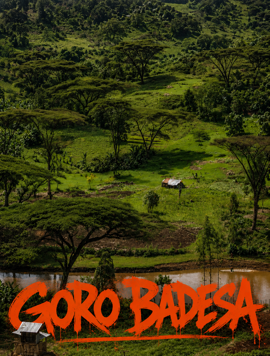 Goro Badesa · Ethiopia · 74112, 74110 · Washed