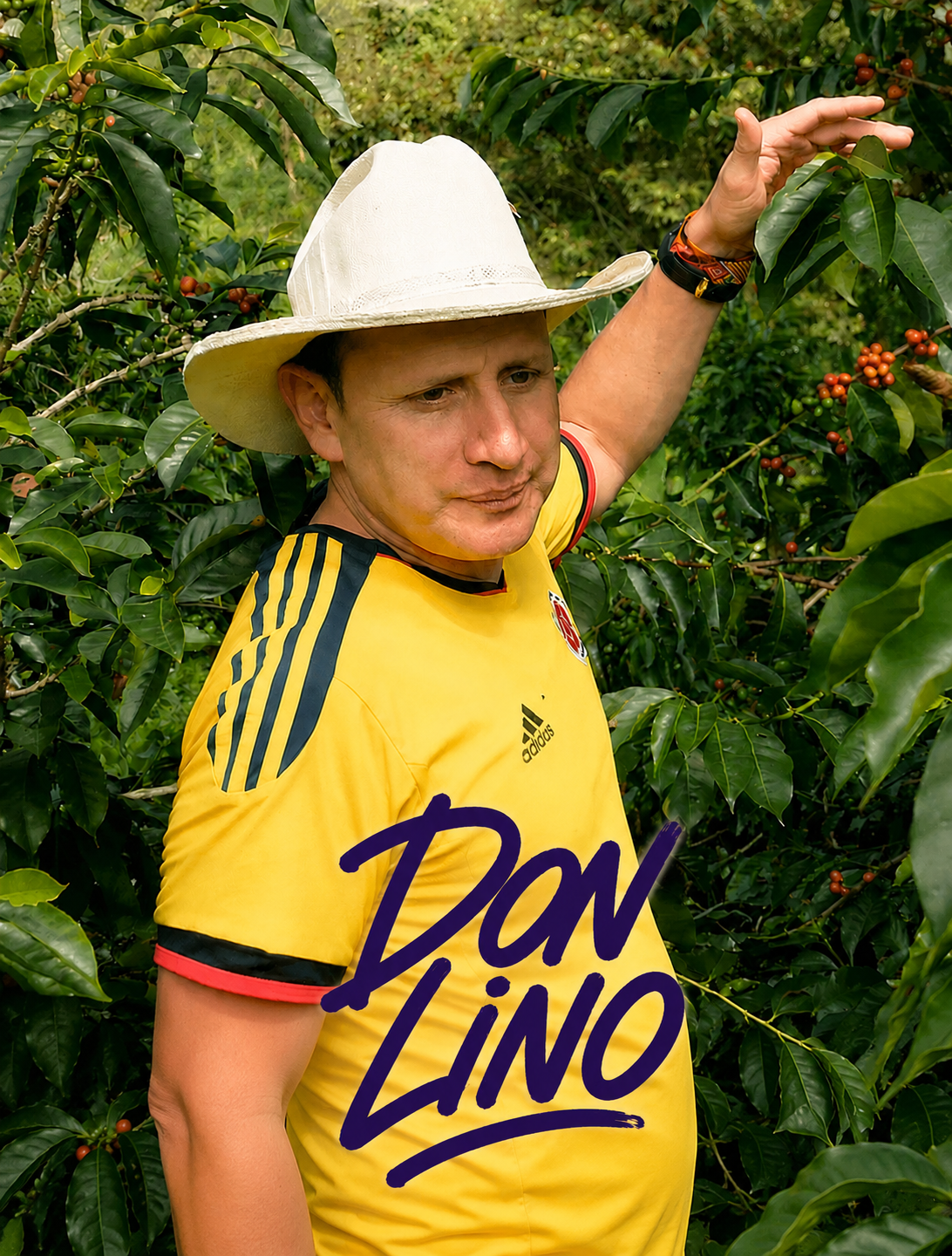 Photo of Don Lino · Colombia · SL28 · Washed