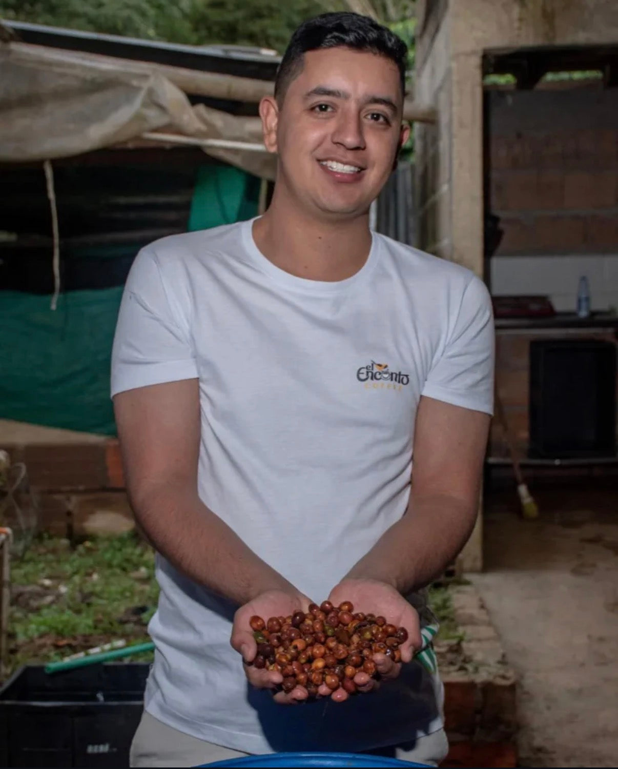 Franky Hoyos · Kolumbien · Caturra, Chiroso · Yeast Inoculated Natural