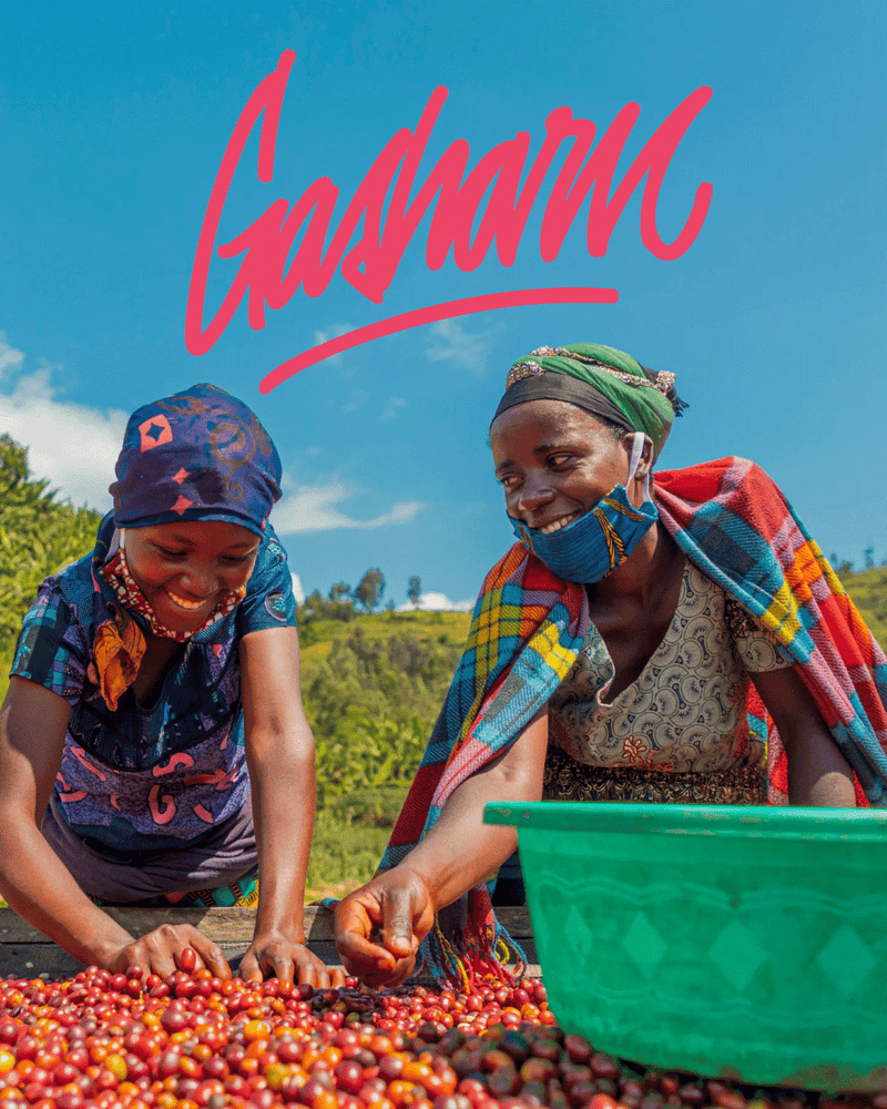 Photo of Gasharu · Ruanda · Bourbon · Anaerobic Natural