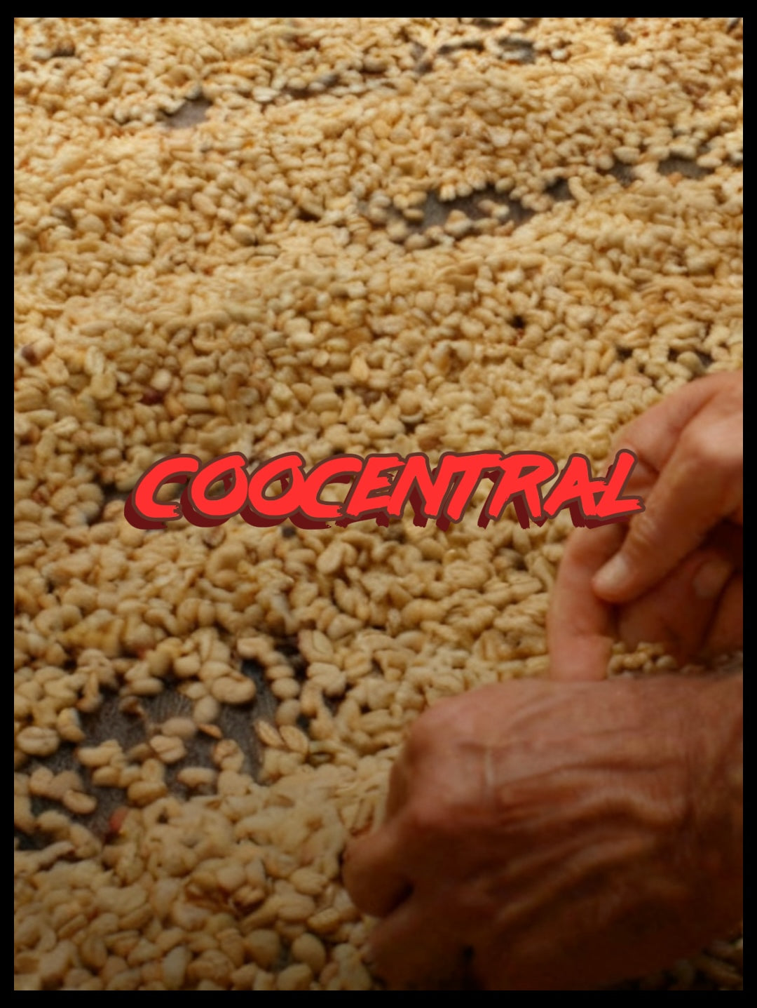 Coocentral | Colombia