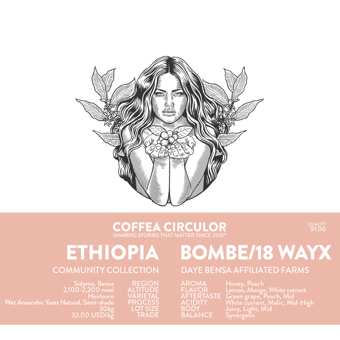 Coffea Circulor - Ethiopia Bombe/18 WAYX - 100g