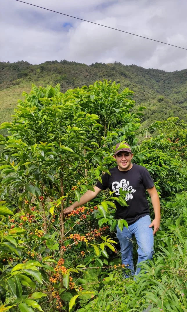 Las Flores | Colombia