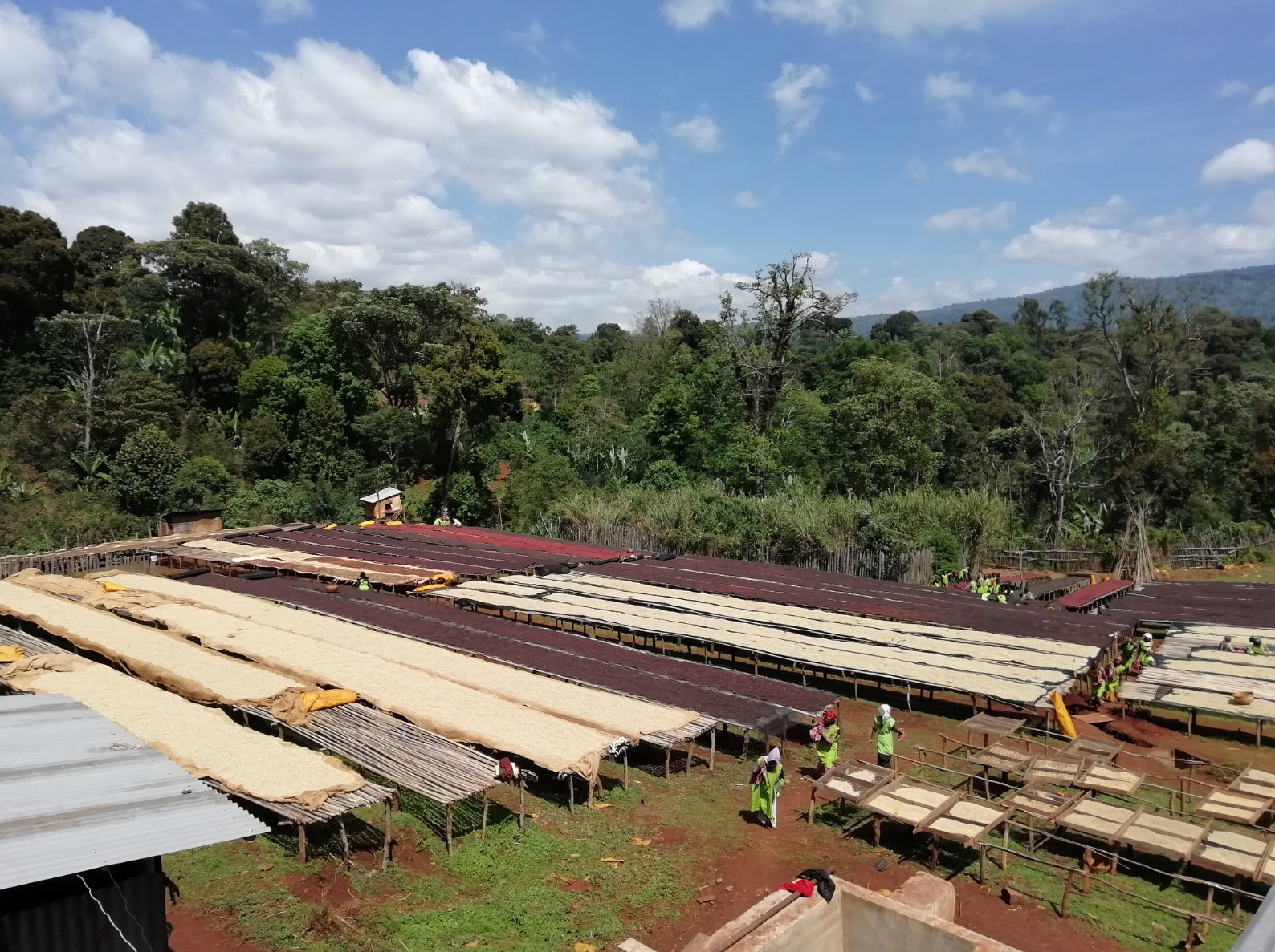 Chelchele | Ethiopia