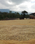 Chelchele | Ethiopia