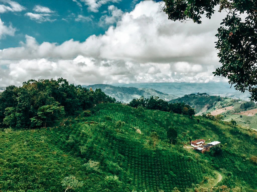 Chocoloco | Colombia