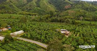 Coocentral | Colombia