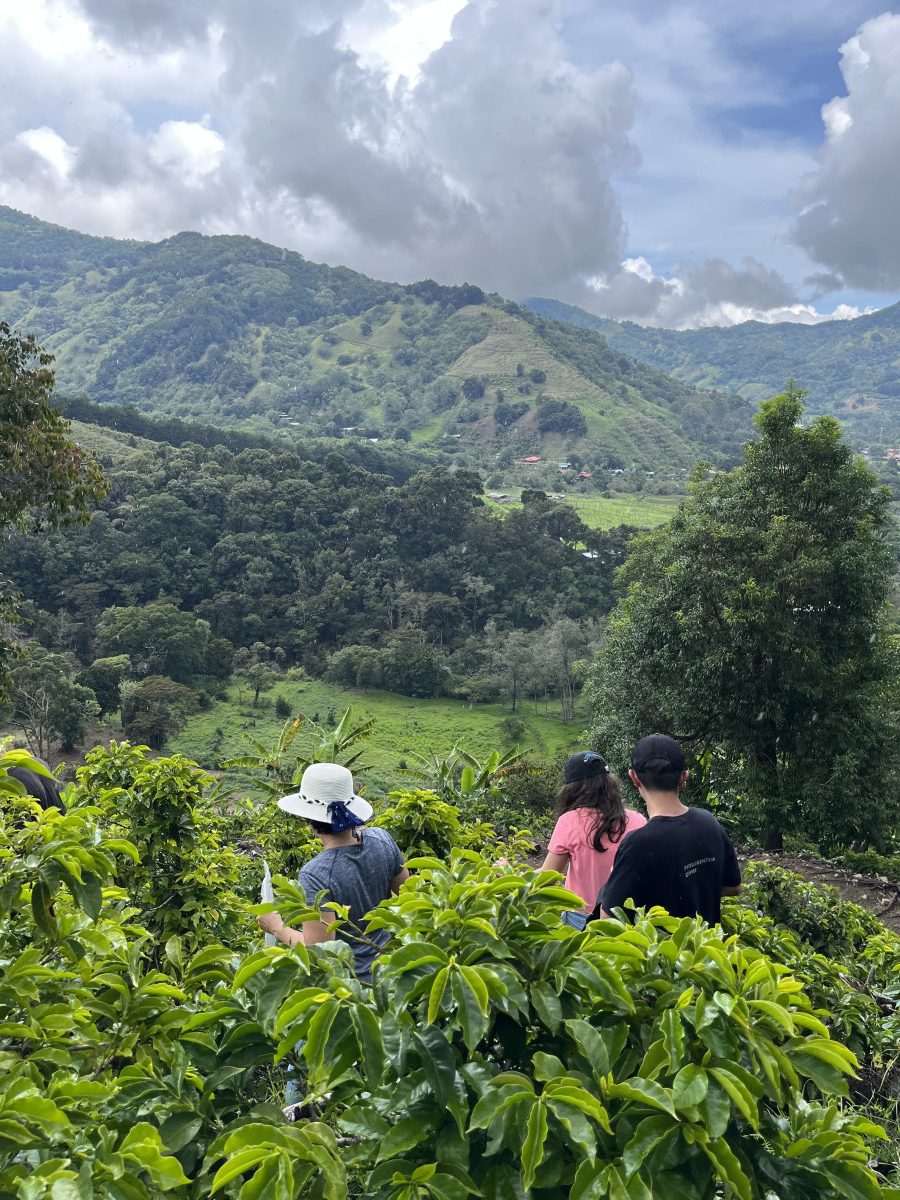 Cuatro Vientos - Costa Rica