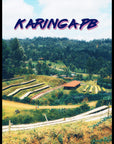 Karinga PB | Kenya