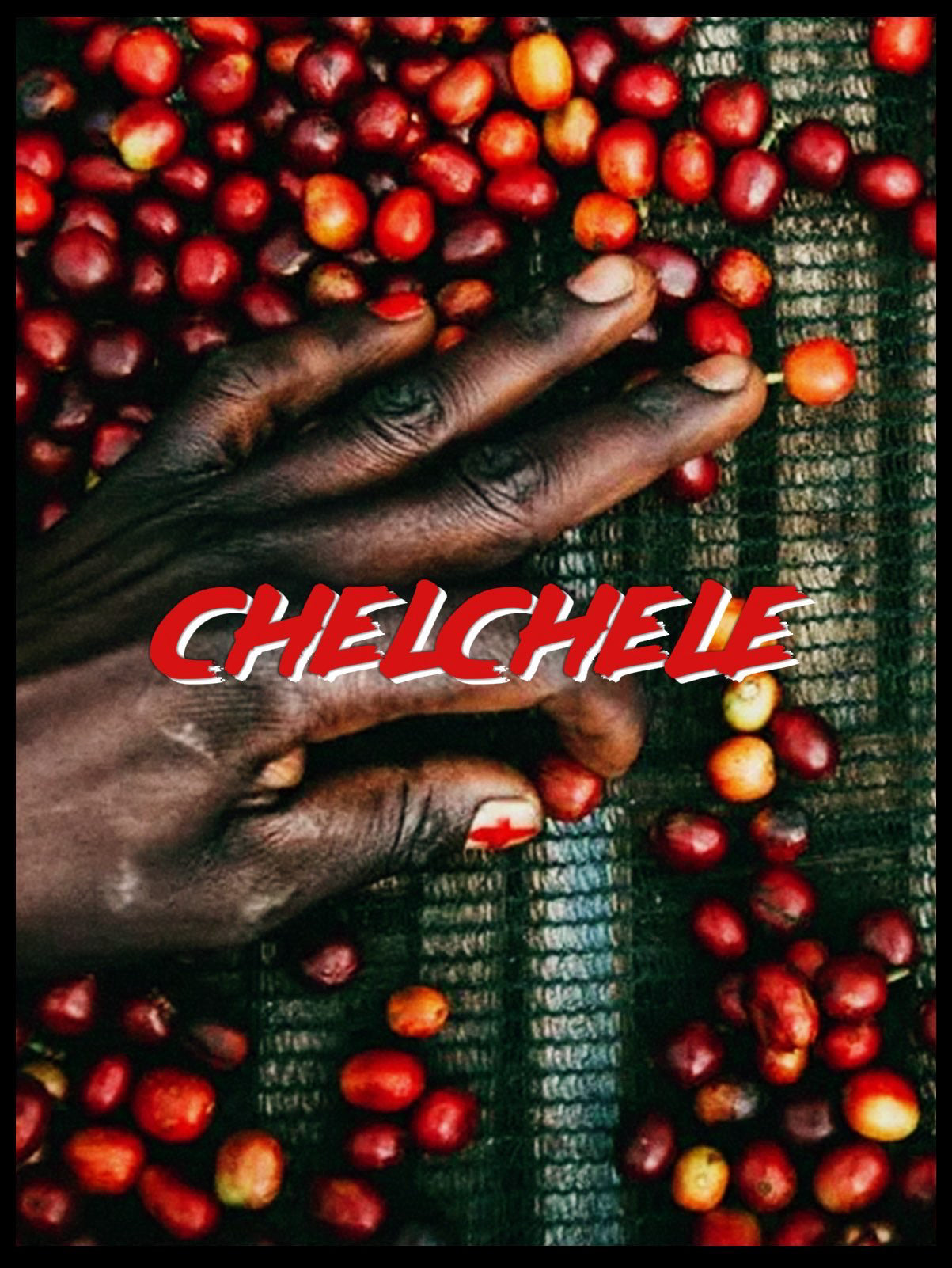 Chelchele | Ethiopia