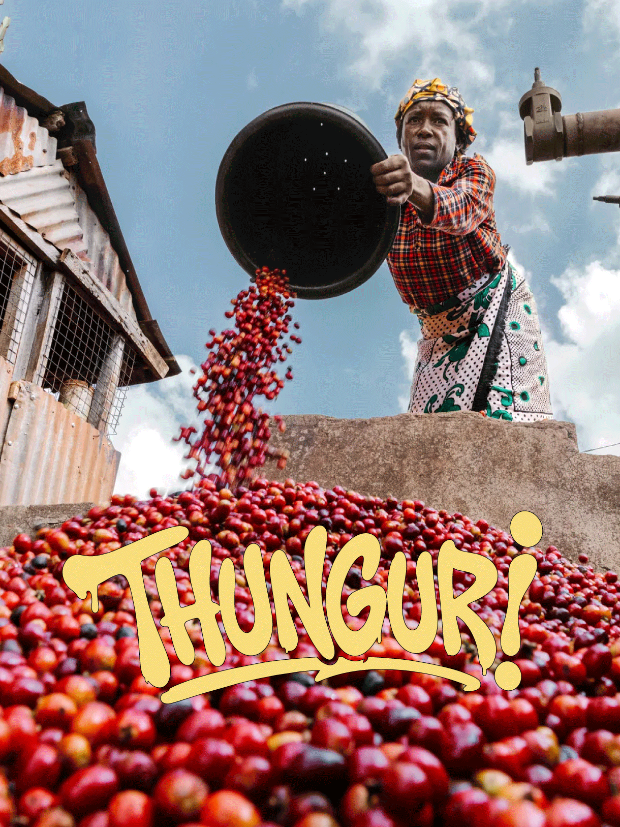Photo of Thunguri · Kenia · SL-28, K7, Ruiru, Batian · Washed