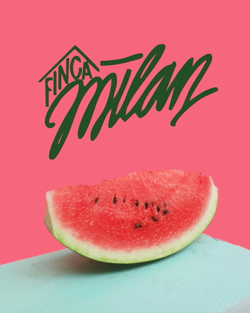 Photo of Finca Milan · Kolumbien · Caturra · Watermelon Nitro Washed