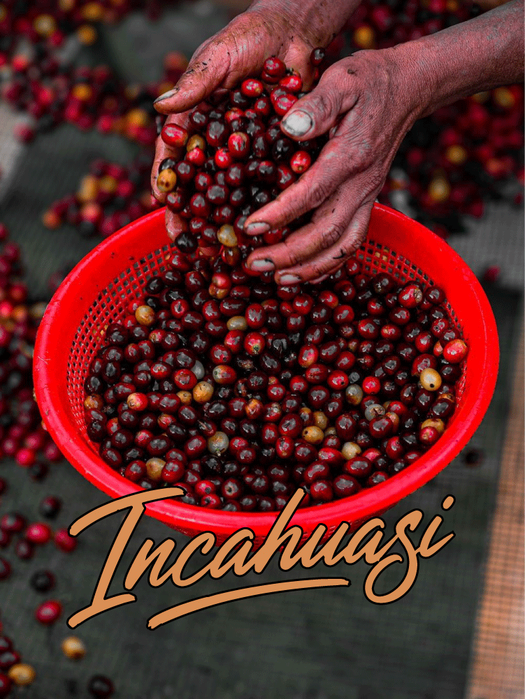 Photo of Incahuasi · Peru · Typica, Caturra, Bourbon · Natural