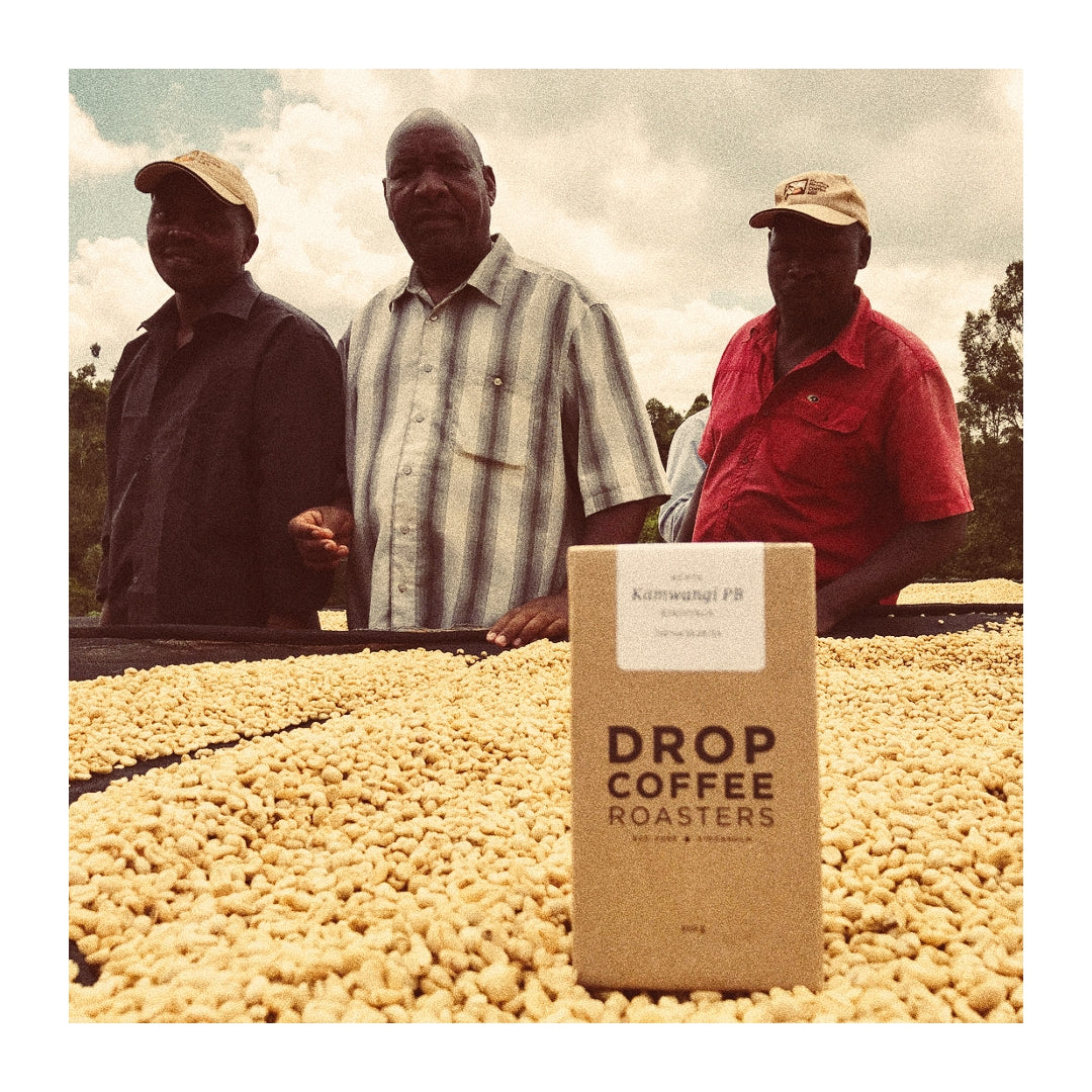 Kamwangi AA, Kenia - Drop Coffee Roasters